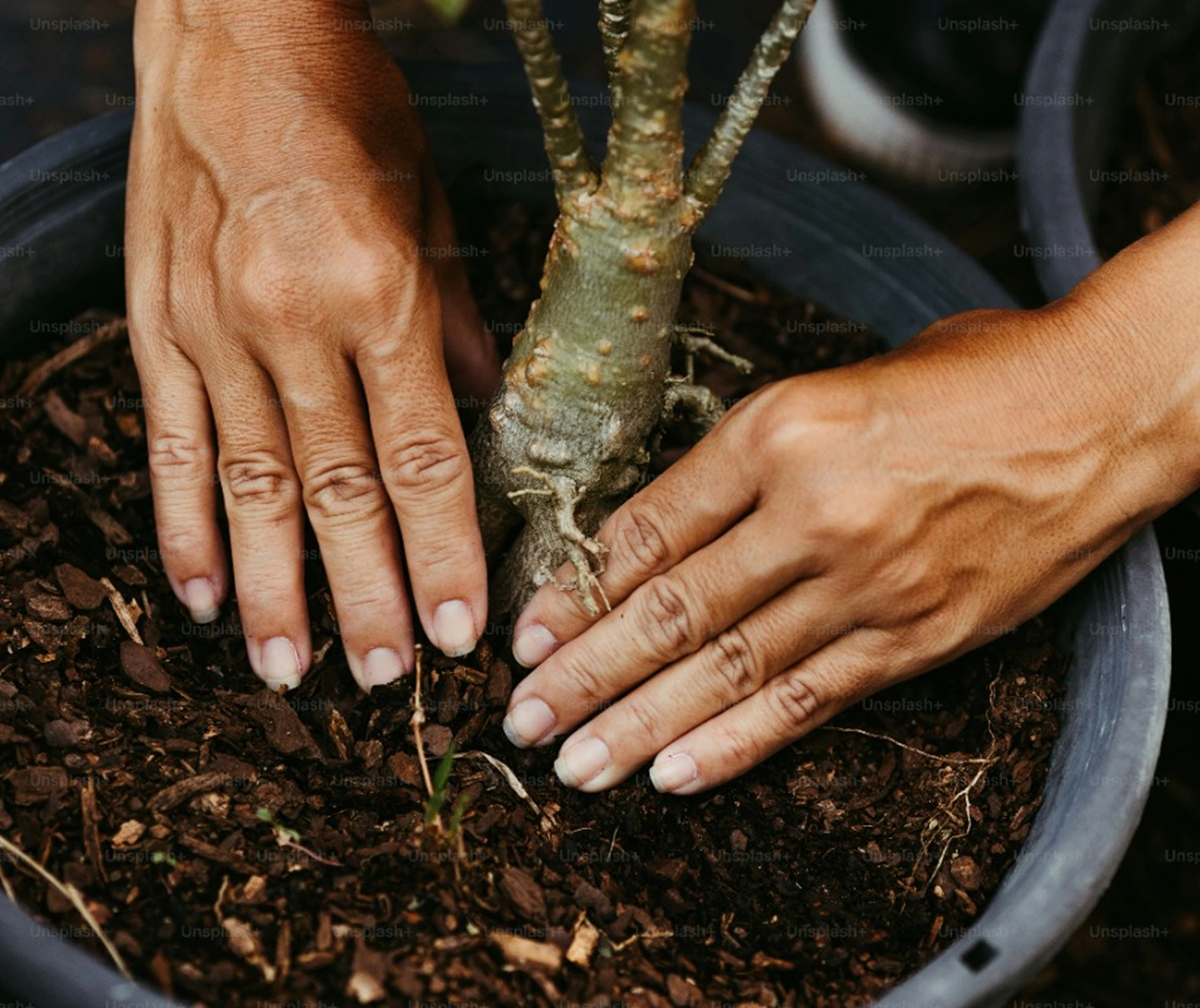 Grow beyond your comfort zone